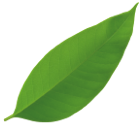 truespark cleaning footer leave 01