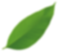 True spark cleaning animation leave 03